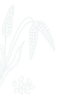 Left Decorative Image