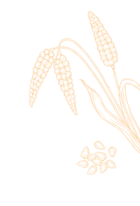 Right Side Decoration
