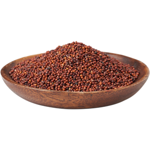 Ragi