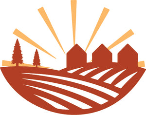 25K+ Happy Customers