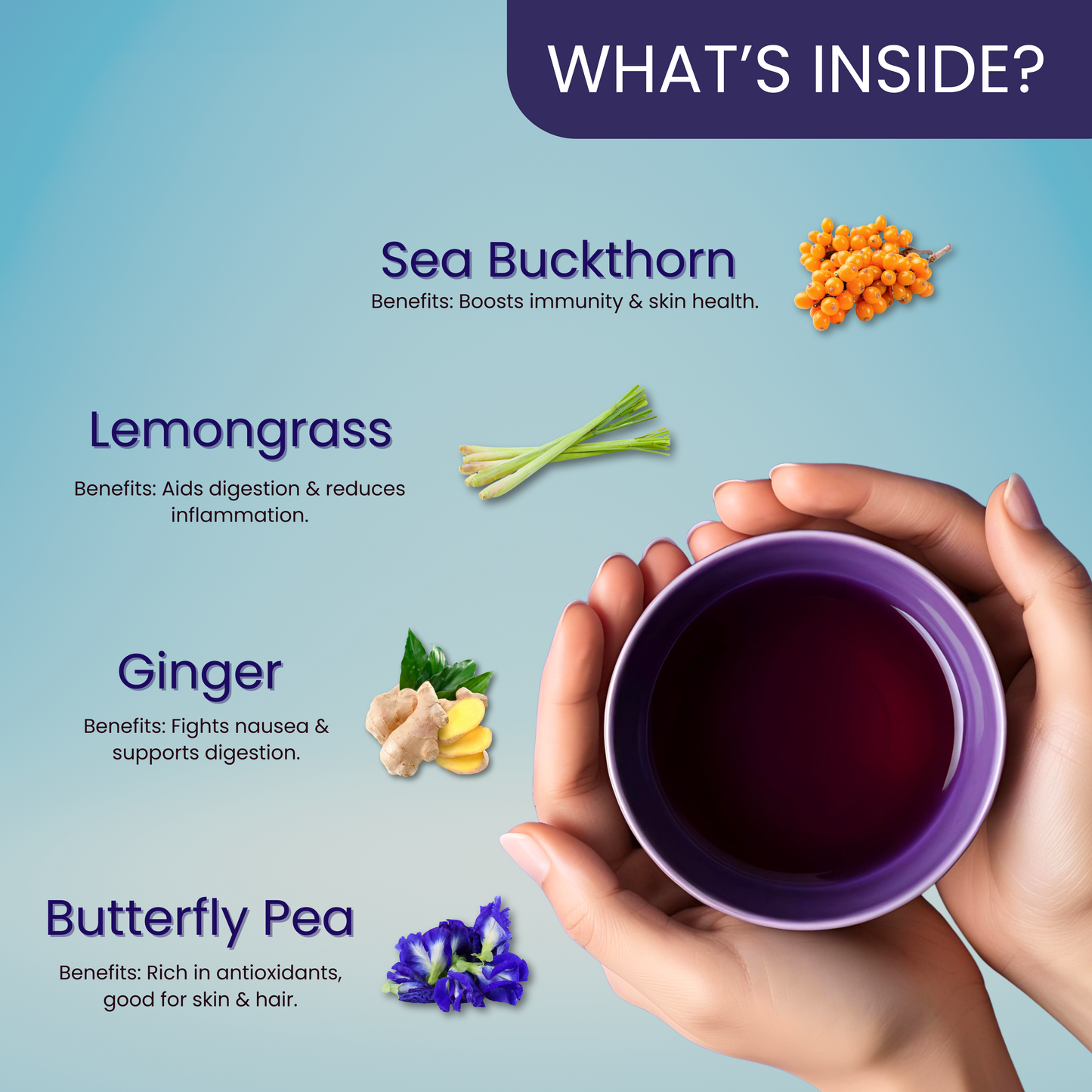 Hach ch'i Herbal Tea - Sea Buckthorn, Butterfly Pea Flower  | Immunity & Energy Boosting Tea