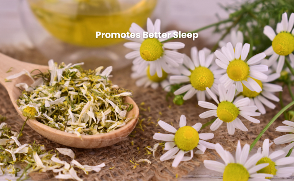 Promotes Better Sleep