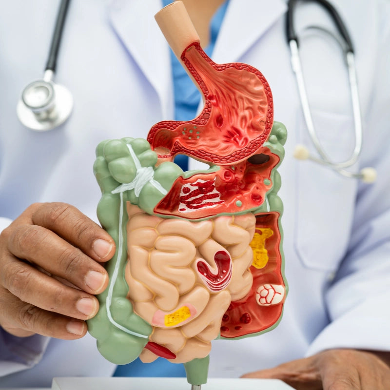 Aids Digestion Naturally