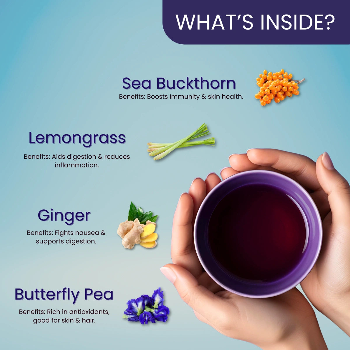 Hach ch'i Herbal Tea - Immunity & Energy Boosting Tea (50g)