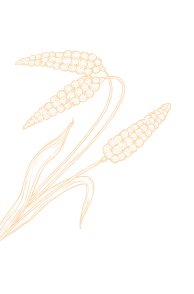 Left Decorative Image