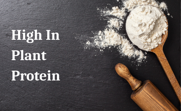 Good Source of Plant Protein
