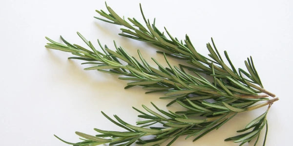 Rosemary