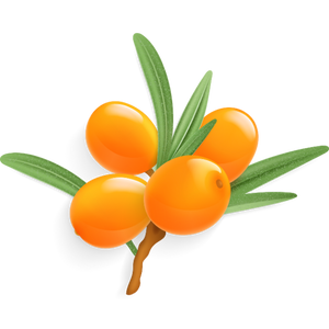 Sea Buckthorn Berries
