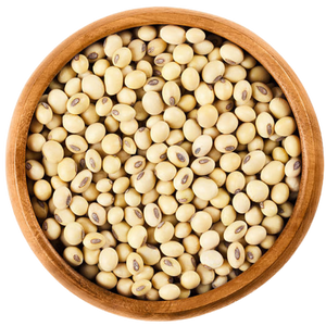 Soybean